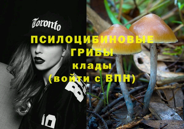 2c-b Струнино
