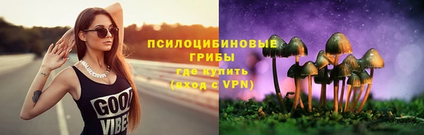 2c-b Струнино