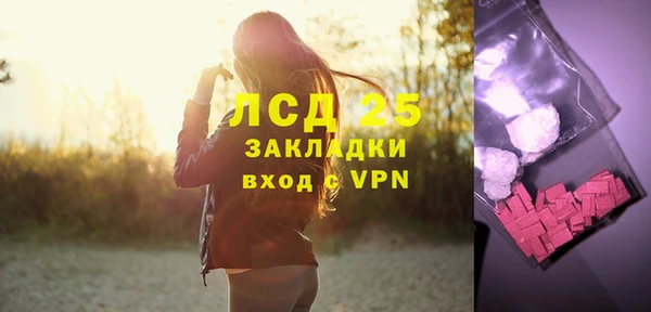 прущие грибы Строитель