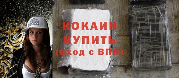 прущие грибы Строитель