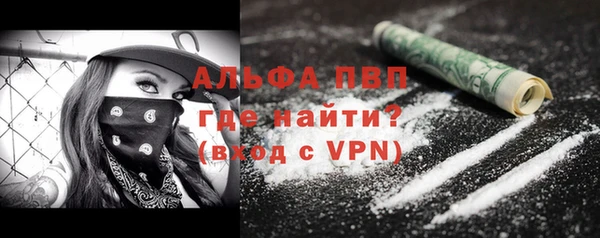 прущие грибы Строитель