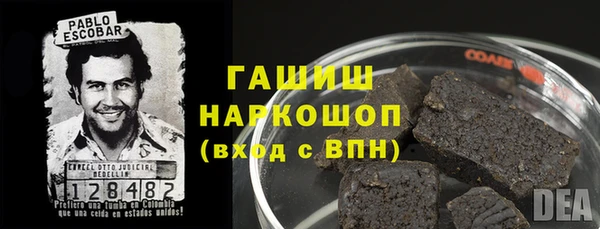 прущие грибы Строитель