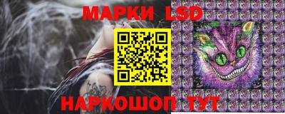 спиды Аргун