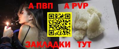 спиды Аргун