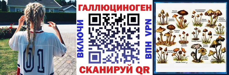 Галлюциногенные грибы Magic Shrooms наркошоп Астрахань