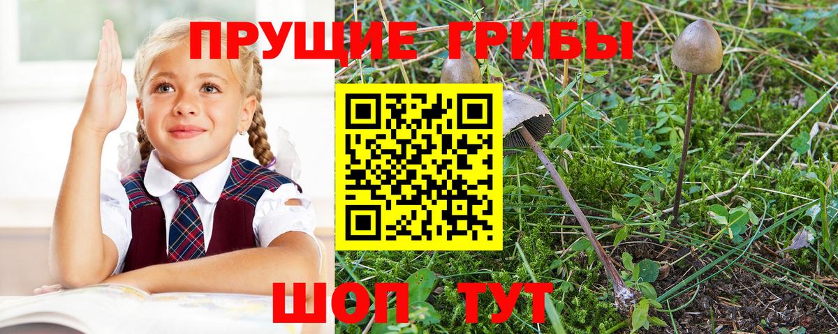 Псилоцибиновые грибы MAGIC MUSHROOMS Астрахань