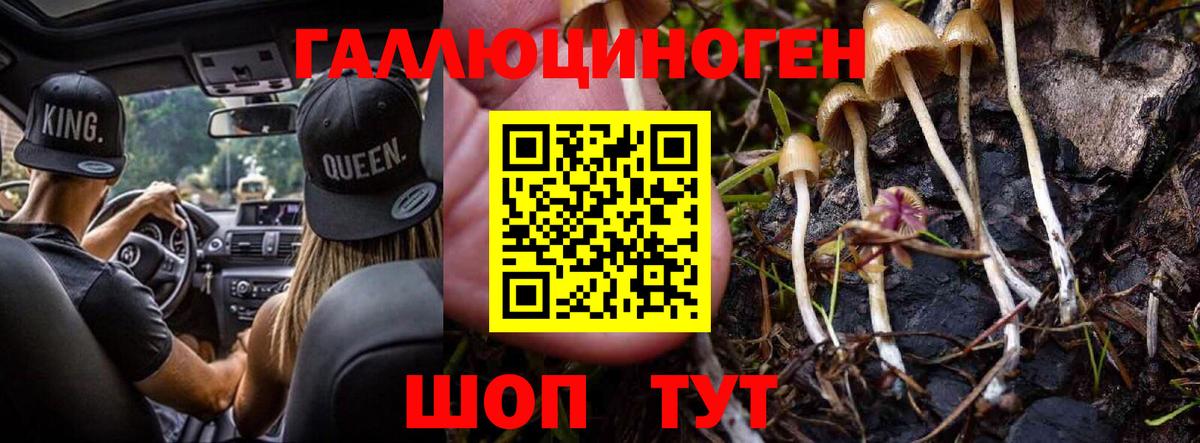 Астрахань  Галлюциногенные грибы MAGIC MUSHROOMS  цены наркотик  Вход с VPN 